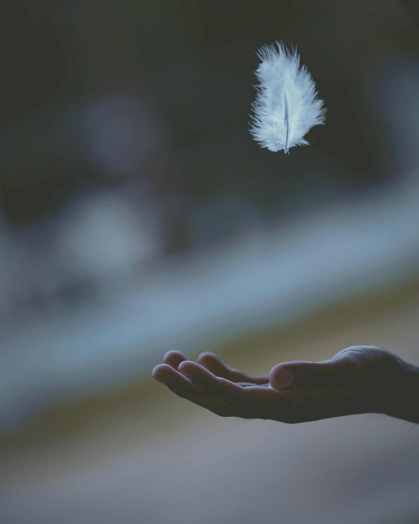 Steps to Begin Your Holistic Wellness Journey